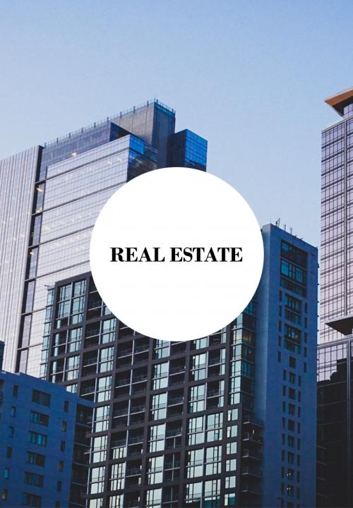 Real Estate case